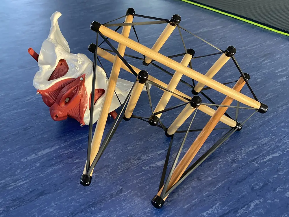 Schaumodell für den Beckenboden